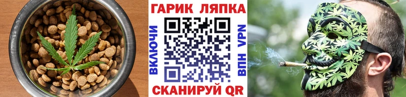 купить наркотики сайты  Гатчина  Cannafood конопля 