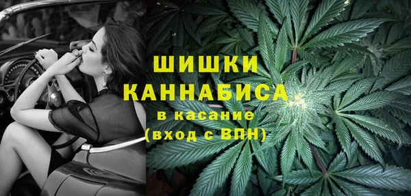 ешки Заводоуковск