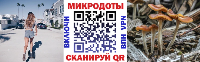 Галлюциногенные грибы Psilocybe Гатчина